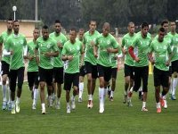 Roland Courbis: »Il faut maintenir la confiance en cette équipe algérienne »