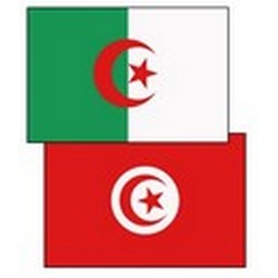 Tunisie Pourquoi veut-on impliquer l’Algérie dans l’affaire de Chokri Belaïd?