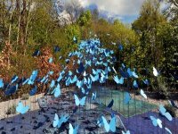Un paysagiste jijelien au festival international des jardins de Chaumont (France)