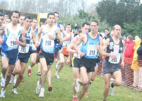 Championnat arabe de cross-country, L&rsquo;Algérie vainqueur par équipes chez les juniors