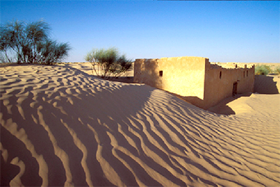 Djelfa : rempart contre l’avancée du désert