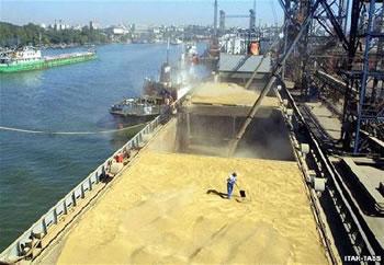 Importations de blé,Recul de plus de 11% de la facture