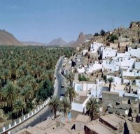 Installation des comités intersectoriels de suivi du dossier de l’emploi à Illizi, Tindouf, Adrar et Tamanrasset