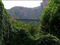 La forêt-modèle de Tlemcen, un atout pour soutenir le développement durable