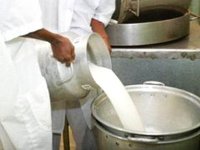 La wilaya de Sétif premier producteur de lait frais en Algérie
