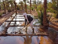 Les sociétés pétrolières ne recrutent plus,Le Sud cherche des projets hors hydrocarbures