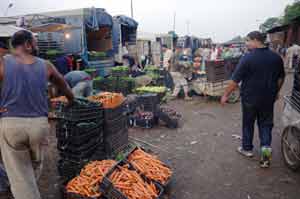 Litige entre l&rsquo;administration du marché de gros des Eucalyptus et les mandataires, la wilaya seule habilitée à trancher