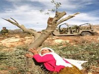 Manifestations en Palestine à l’occasion de « la Journée de la Terre »