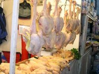 Production de viande blanche, Un stock de sécurité pour absorber le surplus