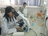 Sondage sur la carrière professionnelle des Algériennes, Un parcours en dents de scie