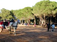 Un vendredi printanier, Bouchaoui et Sidi Fredj pris d’assaut