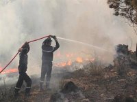 Appel aux citoyens à s’impliquer dans la prévention des incendies de forêts