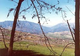 Attaque terroriste contre une foule qui attendait le wali à Médéa (actualisé)