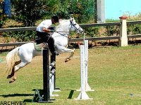 Concours d’équitation de Relizane : Laïd Reda (Blida) remporte le grand prix