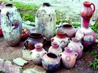 Découverte d’ossements d’animaux et d’objets préhistoriques à Tighenif (Mascara)