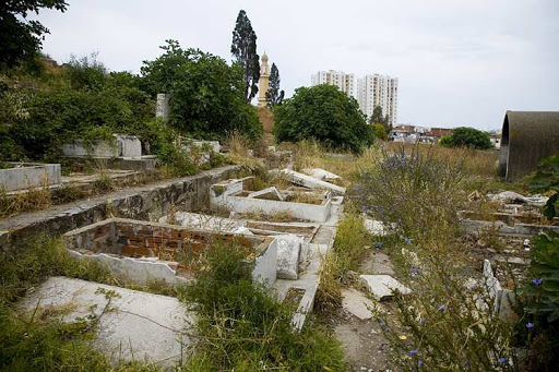 Des tombes délabrées, des herbes folles et des chiens errants au cimetière des martyrs à Aïn Beïda: Pourquoi ?
