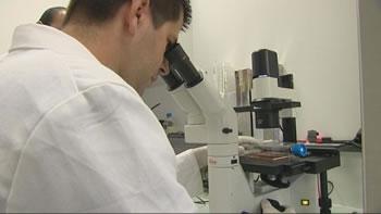 Ils font le bonheur des instituts de recherche étrangers,L&rsquo;Algérie perd ses « têtes »