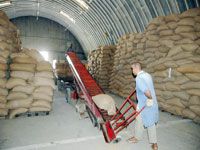 Manque de main-d’œuvre, déficit en eau, difficultés d’accès au foncier agricole Sécurité alimentaire : une situation préoccupante