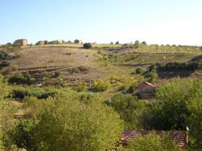 Médéa/agriculture : constat peu reluisant de l’APW