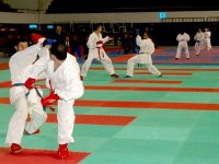 Open de karaté de Carcassonne (France) : l’Algérie participe avec 10 athlètes