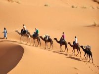 Plan Qualité Tourisme Algérie : attirer plus de 2 millions de touristes à l’horizon 2015