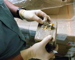 Plus de 25 kg de kif traité saisis et un réseau international de trafic de drogue démantelé à Bechar