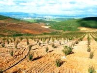 Préparation d’un avant-projet de loi sur le développement des territoires ruraux