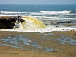 Quel sens donne-t-on au développement du tourisme balnéaire à Oran ?, 40.000 M3 d’eaux usées jetées quotidiennement dans la mer