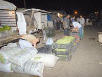 Relevé mensuel des tarifs des produits alimentaires de base ,Forte hausse des prix de l’oignon, de l’ail et des oranges en mars