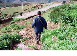 Tipasa : Trois gardes communaux tués dans un attentat terroriste