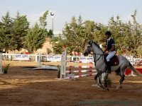 Concours régional (saut d’obstacles) : les cavaliers de Zéralda dominent la 1ère journée