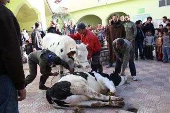 Face à une mondialisation galopante,Comment des villages sauvegardent leurs traditions