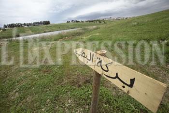 Investissements Emiratis en Algérie,Que reste-t-il des 25 milliards?