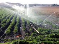 La superficie agricole irriguée en Algérie sera de 1,6 million hectares à moyen terme