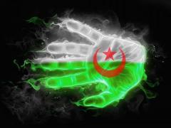 L’Arabie saoudite victime d&rsquo;une Cyber-Attaque:Le drapeau algérien sur leur page d&rsquo;accueil