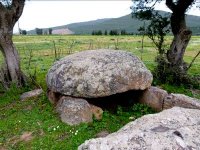 Le dolmen de Bougous (El Tarf), une légende qui défie le temps