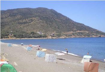 Les éboueurs de la mer étaient hier à Béjaia,La plage de Saket fait sa toilette