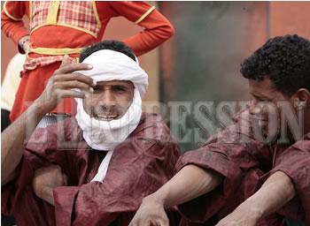 Plus de 2400 Milliards de DA investis dans le sud en 14 ans,Un « puits » sans fond