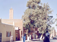 Tamanrasset, encadrement sportif ,15 000 nouveaux postes budgétaires