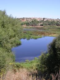 Tissemsilt : Noyade mortelle de deux enfants dans une mare d’eau