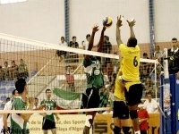 Volleyball/Coupe d’Algérie (messieurs) : finale inédite NRBB Arreridj-ES Sétif