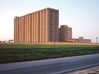 1,35 milliard de DA pour la modernisation des minoteries Eriad de Sidi Bel-Abbès