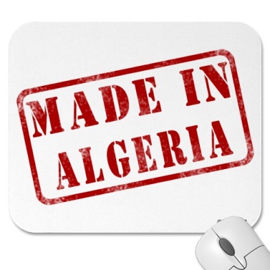 Algérie : Un compteur électrique intelligent made in Algeria
