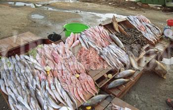 Alors que le ramadhan est à quelques encablures,Les prix commencent à flamber