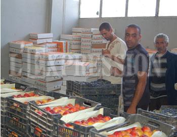 Benaissa et Benbada rassurent les algériens,Un mois de Ramadhan bien achalandé