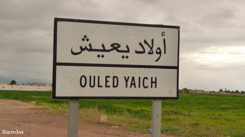 Blida : 20 milliards de DA pour la réhabilitation du réseau routier de la commune de Ouled Yaich