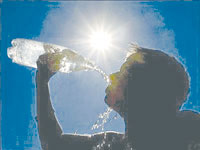 Canicule,Les précautions à prendre