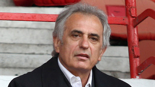 Halilhodzic : «Le Brésil ? On n’y est pas encore»