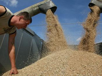 Importation de blé,Volume en baisse et facture en hausse