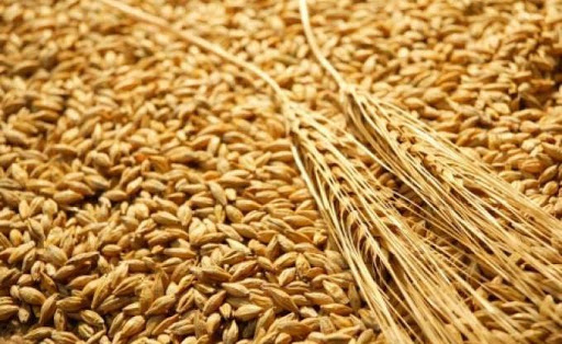 Importations de blé auprès de la France L’Algérie achète 29.925 tonnes